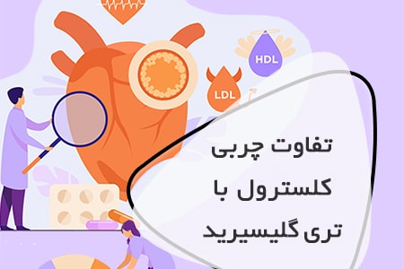 تفاوت چربی کلسترول با چربی تری گلیسیرید