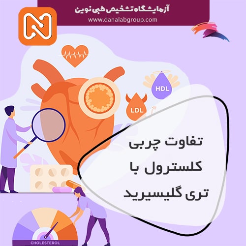 تفاوت چربی کلسترول با چربی تری گلیسیرید