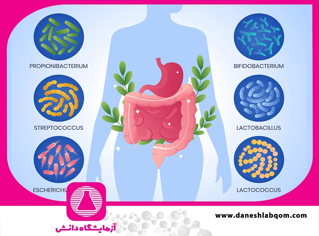 بهبود سلامت روده و میکروبیوم | رژیم غذایی، پروبیوتیک و تست آزمایشگاهی