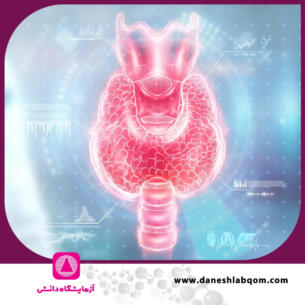همه چیز درباره آزمایشات تیروئید و تفسیر آن