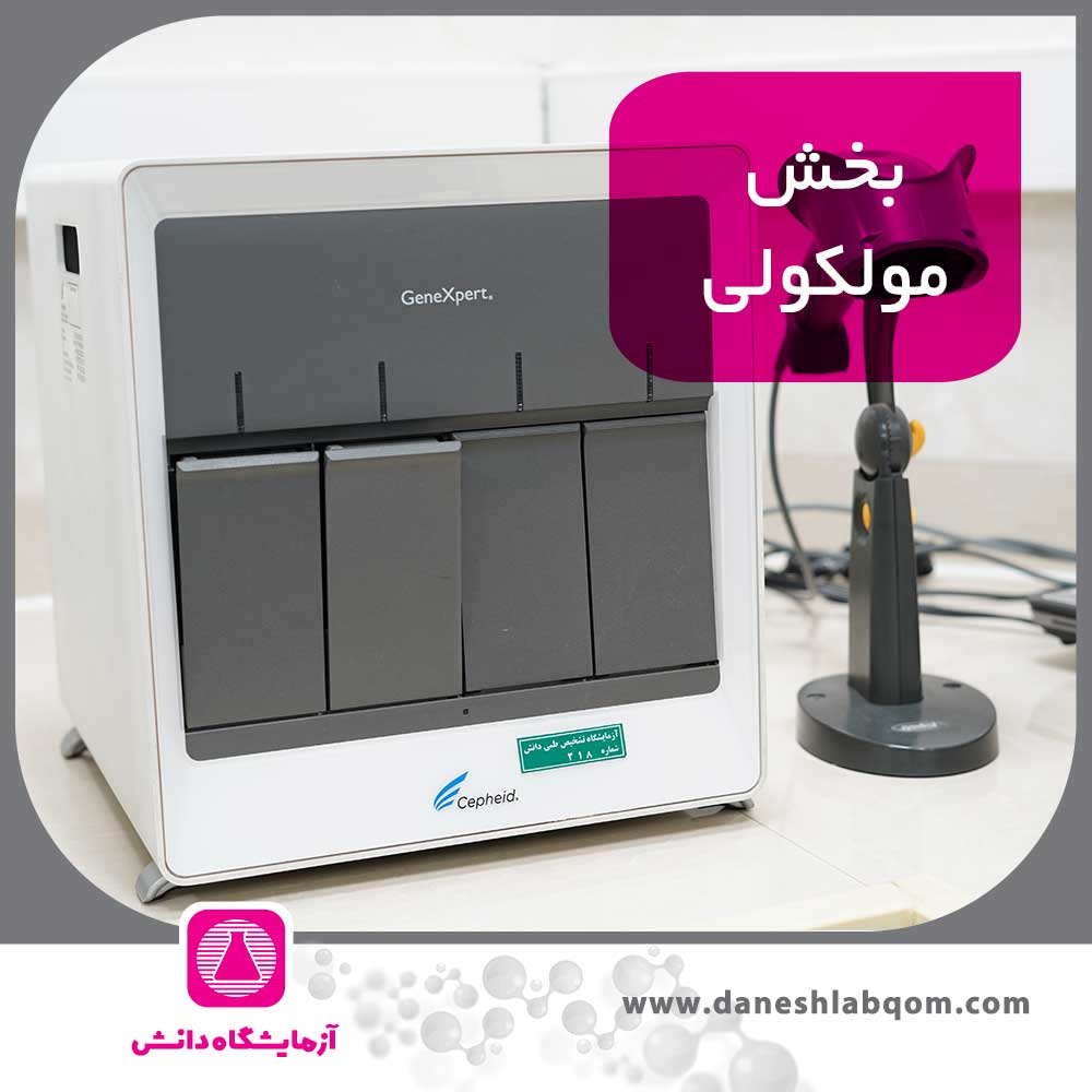 مولکولی